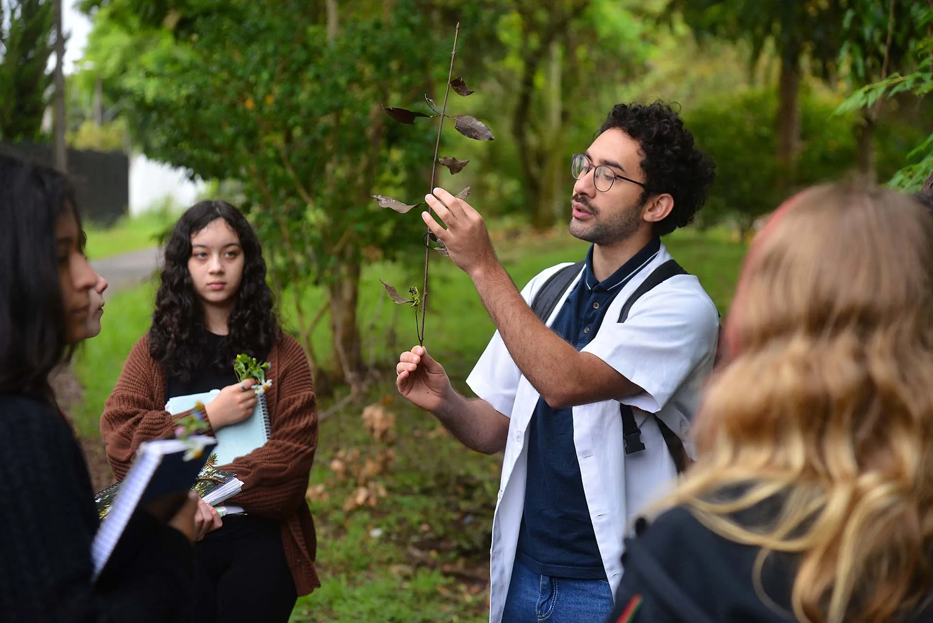 Coleta de plantas no entorno da escola em aula de campo de Ciências