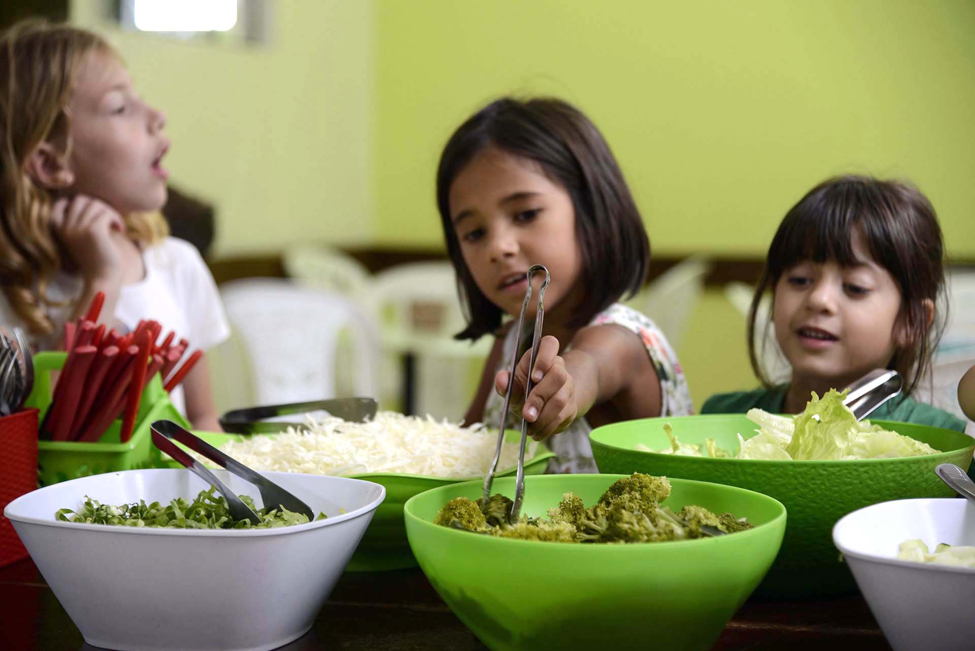 Ecos da Terra e o alimento de verdade