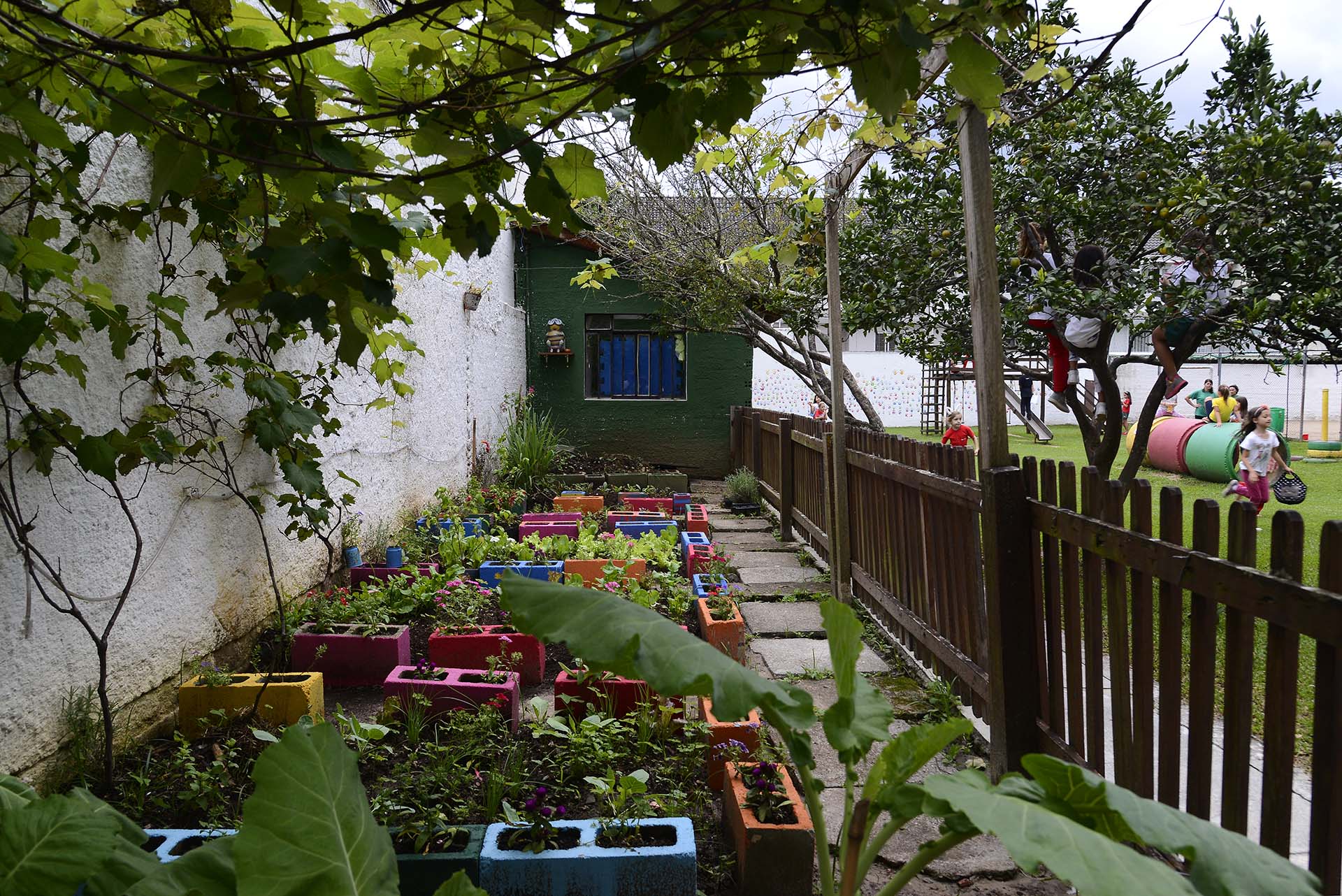 Projeto Colmeias Urbanas instala laboratório de ecossistema na Escola Terra Firme