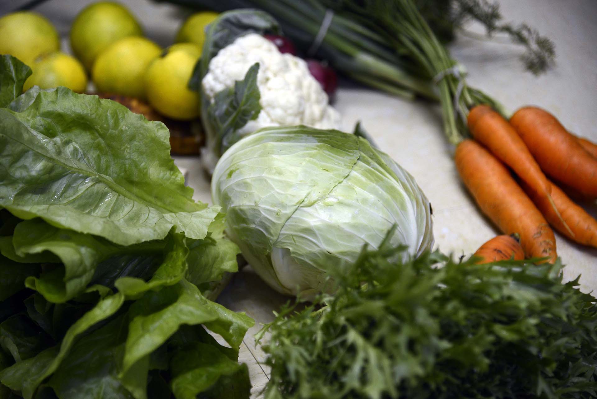 Grupo de consumo de orgânicos da Terra Firme visa qualidade na alimentação e apoia agroecologia